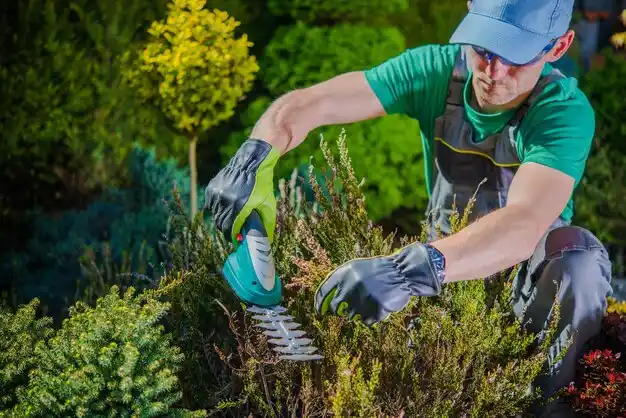 landscaping services Plain Dealing
